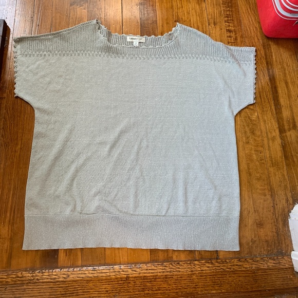 Cold water creek plus size sparkle pullover top. Worn maybe 2x. - Picture 1 of 4